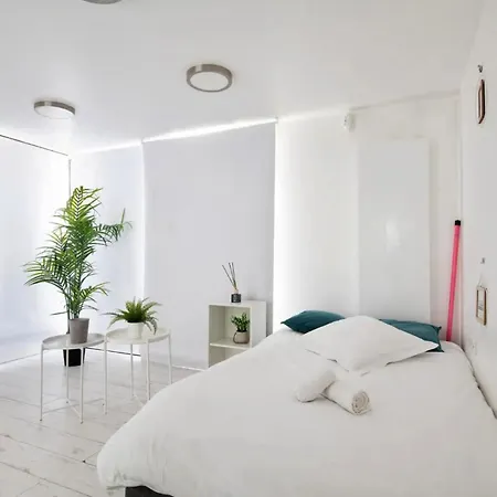 Maison Avec Jardin, Proche Vieux-lille, Avec Parking Casa vacanze *